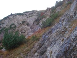 2013-10-26_Schildenstein (160).JPG